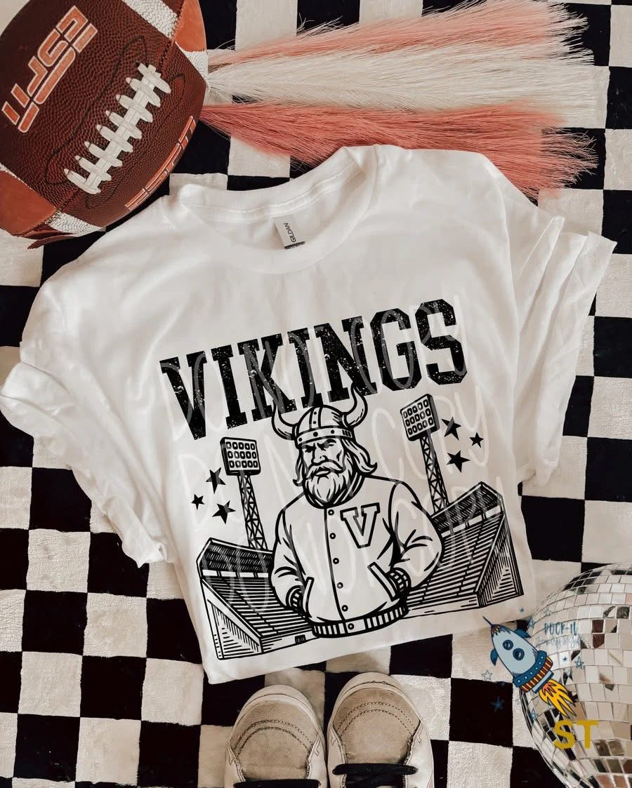 Vikings Stadium
